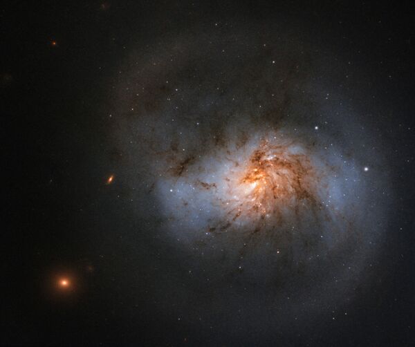NASA’s Black Hole Study Leads to New Image of Dazzling Barred Spiral Galaxy NASA’s Black Hole Study Leads to New Image of Dazzling Barred Spiral Galaxy - Sputnik International