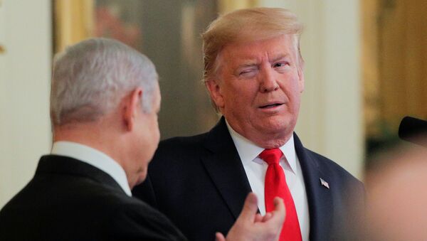 U.S. President Donald Trump winks at Israel's Prime Minister Benjamin Netanyahu as they discuss a Middle East peace plan proposal during a joint news conference in the East Room of the White House in Washington, U.S., January 28, 2020. REUTERS/Brendan McDermid - Sputnik International