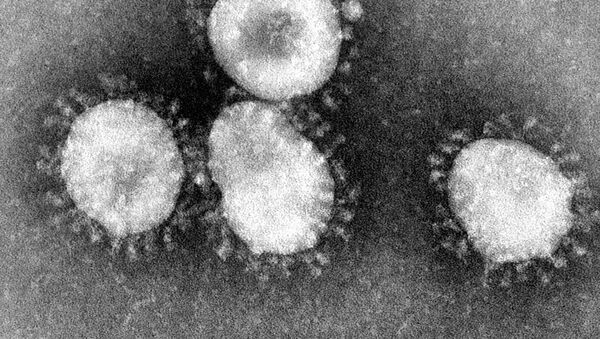  Coronaviruses are a group of viruses that have a halo, or crown-like (corona) appearance when viewed under an electron microscope - Sputnik International