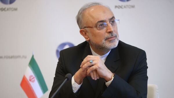 Head of Iran's Atomic Energy Organisation Ali Akbar Salehi - Sputnik International