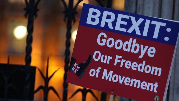 An anti-Brexit protester demonstrates outside the Houses of Parliament in London - Sputnik International