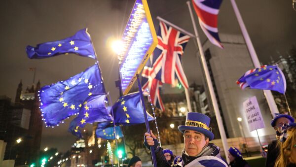 Anti-Brexit protesters holding a banner and flags demonstrate outside the Houses of Parliament in London - Sputnik International