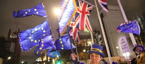 Anti-Brexit protesters holding a banner and flags demonstrate outside the Houses of Parliament in London Anti-Brexit protesters holding a banner and flags demonstrate outside the Houses of Parliament in London - Sputnik International