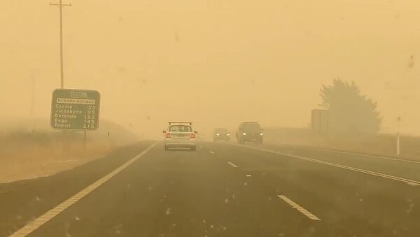 Cars drive in smog on the road to Cooma from Canberra in Bredbo, Australia - Sputnik International