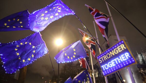 Anti-Brexit protesters holding a banner and flags demonstrate outside the Houses of Parliament in London, Britain 30 January 2020.  - Sputnik International