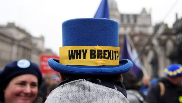 An anti-Brexit protester wearing a hat demonstrates outside the Houses of Parliament in London, Britain January 30, 2020.  - Sputnik International