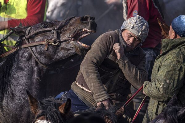 Horsemen take part in a national game, Alaman Ulak, in the Kara-Suyisky district of Kyrgyzstan - Sputnik International