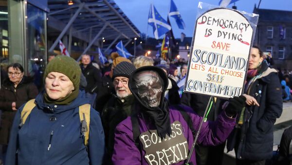 Anti-Brexit protesters hold banners outside the Scottish Parlament, in Edinburgh, Scotland, Britain January 31, 2020 - Sputnik International