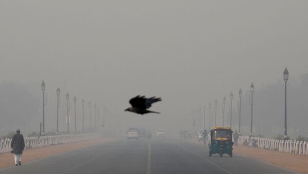 FILE PHOTO: A bird flies amidst smog near India's Presidential Palace in New Delhi, India, November 13, 2019.  - Sputnik International