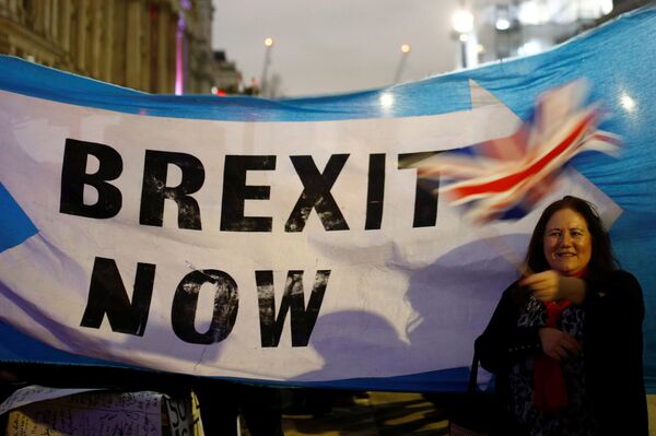 Post-Brexit Trade-Offs Will Be Impacted Not by Economics of the Situation, But by Politics - Prof - Sputnik International