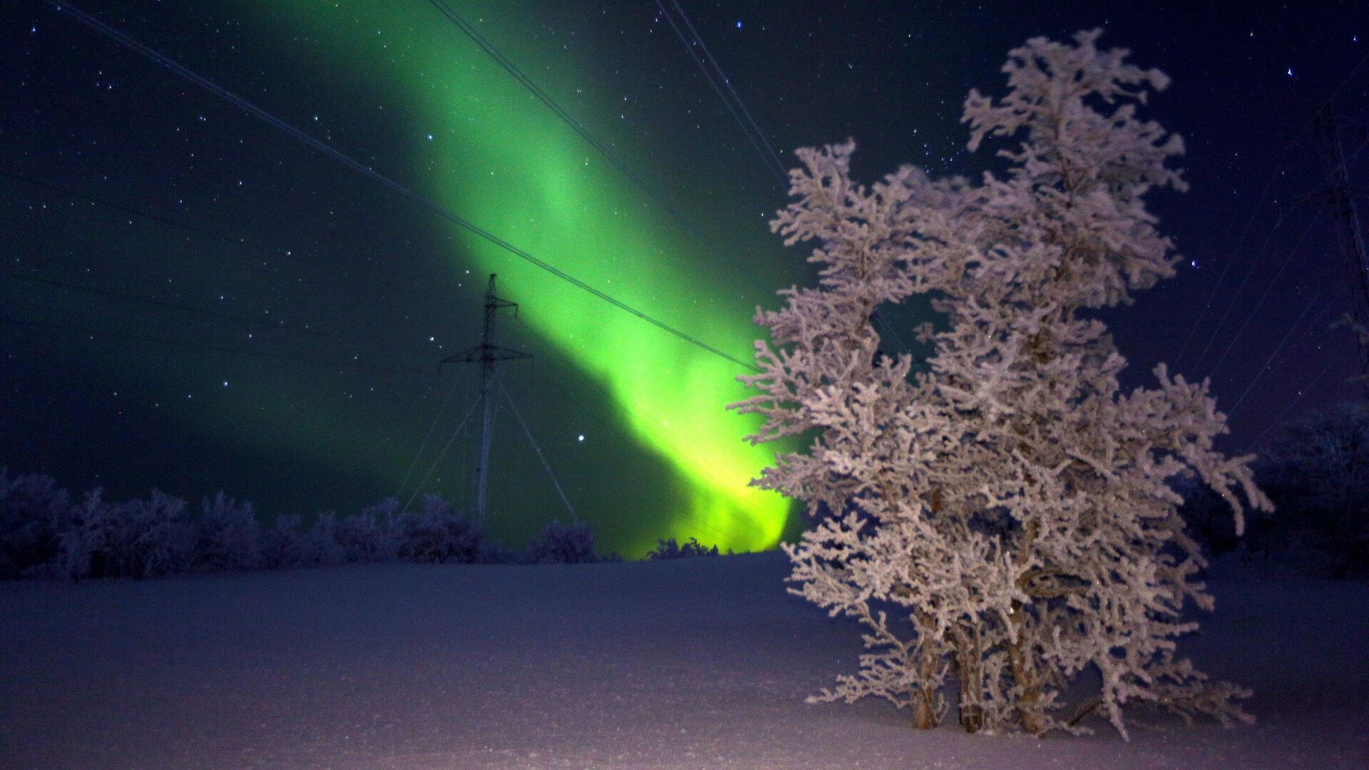 The northern lights in the Murmansk Oblast, Russia - Sputnik International, 1920, 26.12.2021