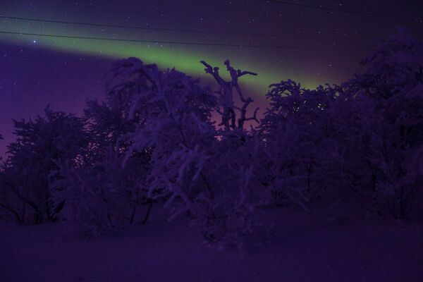 The northern lights in the Murmansk Oblast, Russia - Sputnik International