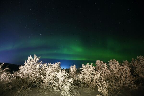 The northern lights in Murmansk Region, Russia. - Sputnik International