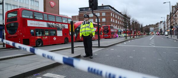 UK Police Officer in Streatham, South London UK Police Officer in Streatham, South London - Sputnik International