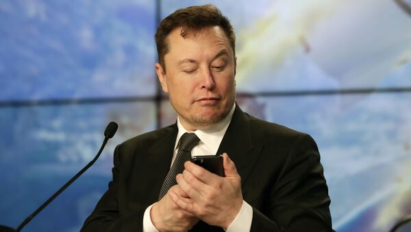 Elon Musk founder, CEO, and chief engineer/designer of SpaceX - Sputnik International