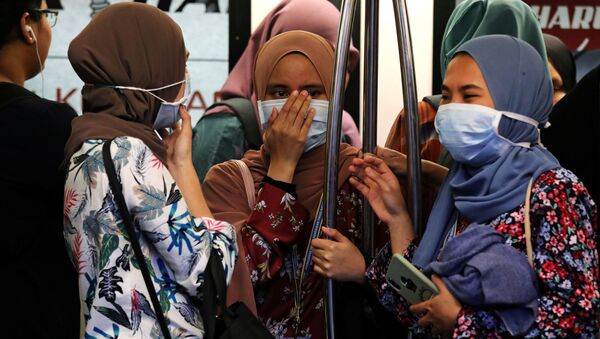 Passengers wear masks to prevent the outbreak of a new coronavirus in a Light Rail Transit train in Kuala Lumpur, Malaysia, January 31, 2020 - Sputnik International