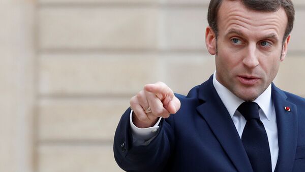 French President Emmanuel Macron gestures as he welcomes his Argentinian counterpart Alberto Angel Fernandez (not pictured) at the Elysee Palace in Paris, France February 5, 2020 - Sputnik International