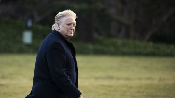 President Donald Trump arrives at the White House, Friday, Feb. 7, 2020, in Washington, as he returns from a trip to Charlotte, N.C. - Sputnik International