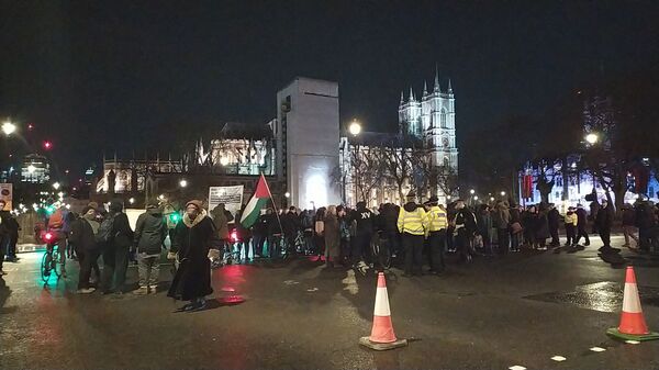 'No Charter Flights!': Demonstrators Denounce 'Racist' Deportations, Block Traffic Outside Number 10 'No Charter Flights!': Demonstrators Denounce 'Racist' Deportations, Block Traffic Outside Number 10 - Sputnik International