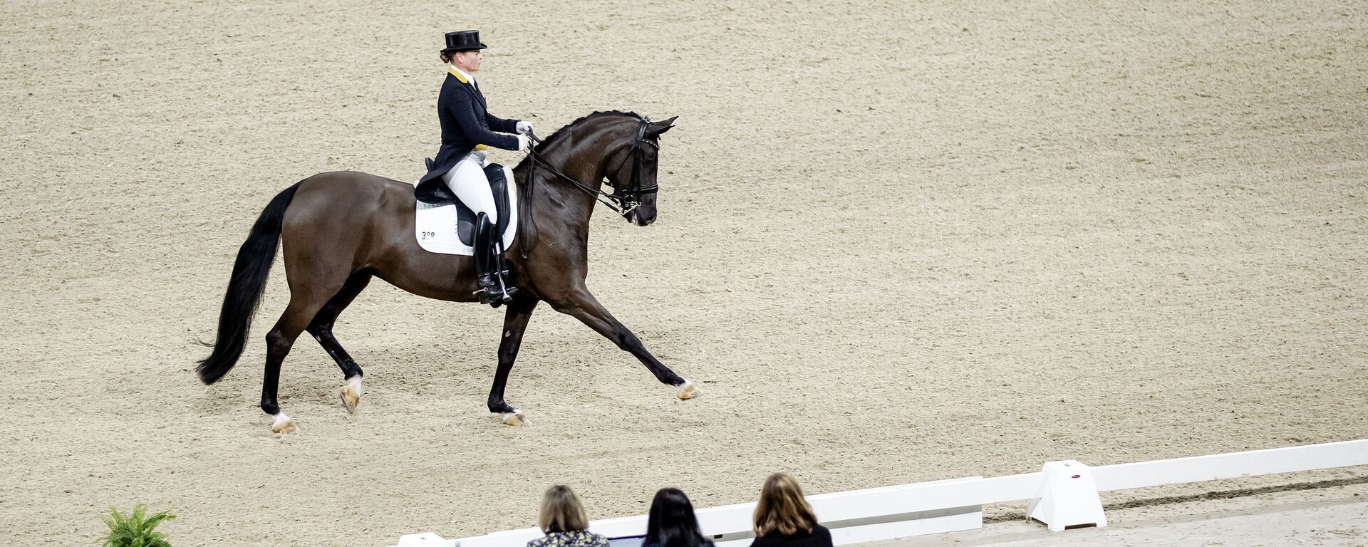 German equestrian Isabell Werth competes during the FEI Dressage World Cup at Jumping Amsterdam in the RAI on 24 January 2020 - Sputnik International, 1920, 14.02.2020