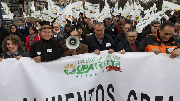 Thousands of Spanish farmers from Castilla and Leon provinces hold banners and flags as they demonstrate in Valladolid for fair prices and against the lack of policies for the rural environment that generate a depopulation of rurals area on March 3, 2017. - Sputnik International