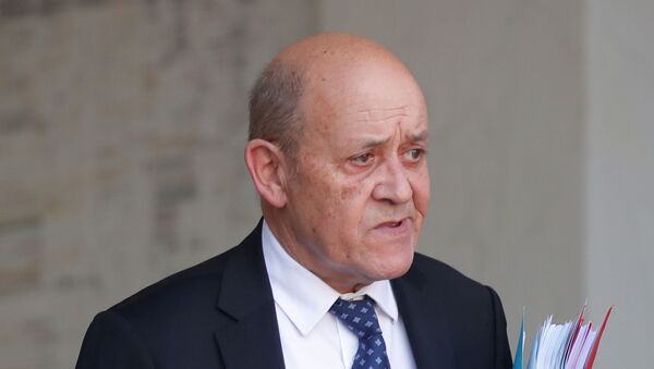 French Foreign Minister Jean-Yves Le Drian - Sputnik International