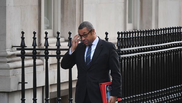 Britain's Minister without Portfolio and Conservative Party Chairman James Cleverly arrives for a meeting of the cabinet at 10 Downing Street in London on February 11, 2020 - Sputnik International