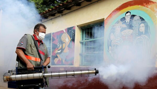 Fumogation at the San Lorenzo National School of San Lorenzo, Paraguay - Sputnik International