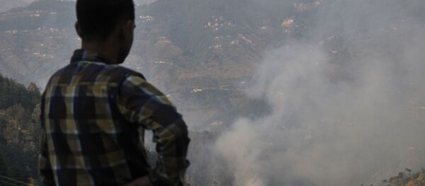 An Indian resident looks over jungle where a wildfire broke out near the northern hill town of Shimla in the Indian state of Himachal Pradesh on May 2, 2016 An Indian resident looks over jungle where a wildfire broke out near the northern hill town of Shimla in the Indian state of Himachal Pradesh on May 2, 2016 - Sputnik International