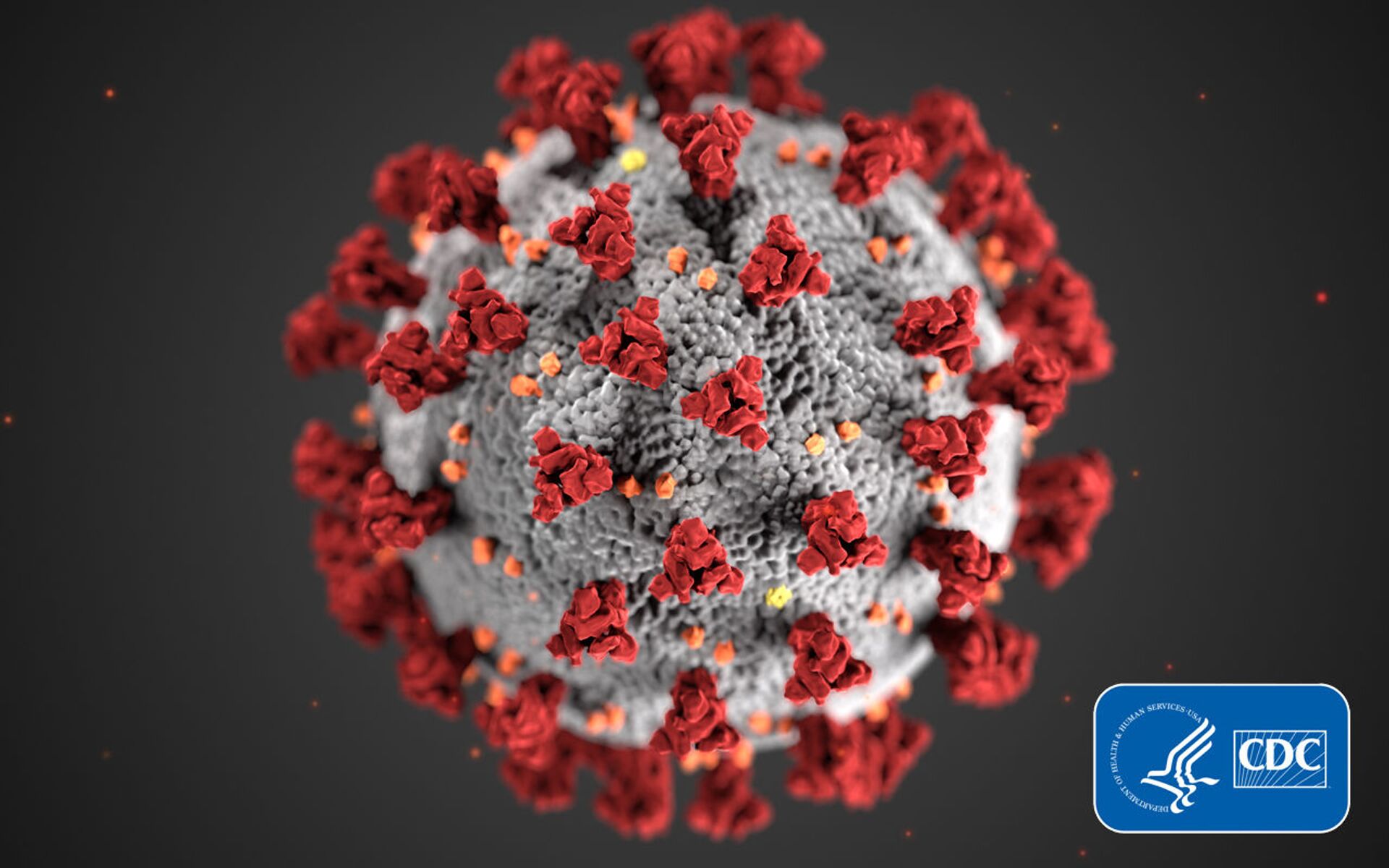 This illustration, created at the Centers for Disease Control and Prevention (CDC), reveals ultrastructural morphology exhibited by coronaviruses. Note the spikes that adorn the outer surface of the virus, which impart the look of a corona surrounding the virion, when viewed electron microscopically. A novel coronavirus, named Severe Acute Respiratory Syndrome coronavirus 2 (SARS-CoV-2), was identified as the cause of an outbreak of respiratory illness first detected in Wuhan, China in 2019. The illness caused by this virus has been named coronavirus disease 2019 (COVID-19). - Sputnik International, 1920, 07.09.2021