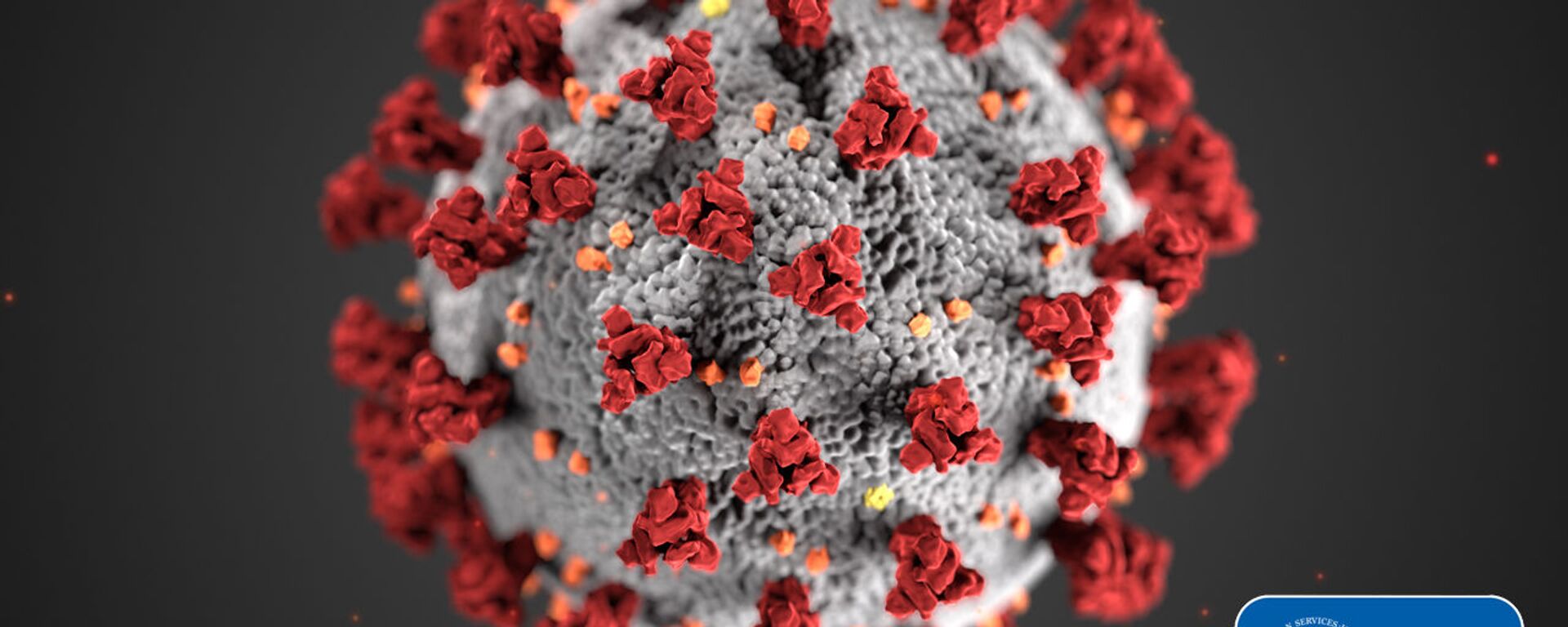 This illustration, created at the Centers for Disease Control and Prevention (CDC), reveals ultrastructural morphology exhibited by coronaviruses. Note the spikes that adorn the outer surface of the virus, which impart the look of a corona surrounding the virion, when viewed electron microscopically. A novel coronavirus, named Severe Acute Respiratory Syndrome coronavirus 2 (SARS-CoV-2), was identified as the cause of an outbreak of respiratory illness first detected in Wuhan, China in 2019. The illness caused by this virus has been named coronavirus disease 2019 (COVID-19). - Sputnik International, 1920, 07.07.2020