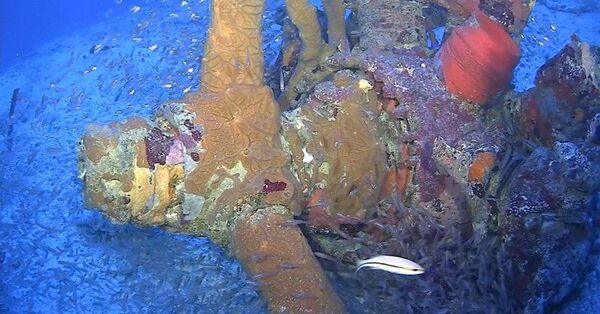 Propeller from a TBM/F-1 Avenger torpedo bomber in Chuuk Lagoon, as photographed by a remotely operated vehicle. - Sputnik International