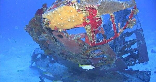 Photos: Three US Naval Attack Aircraft Recovered from World War II Battle Site Photos: Three US Naval Attack Aircraft Recovered from World War II Battle Site - Sputnik International
