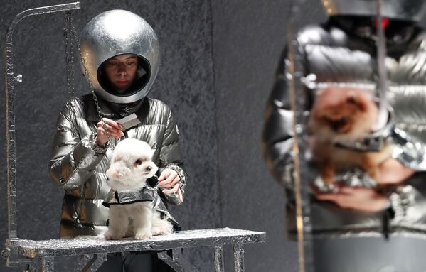 Models and dogs present creations from the Moncler Autumn/Winter 2020 collection during Milan Fashion Week in Milan, Italy February 19, 2020.  - Sputnik International