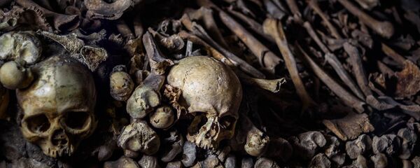 Human bones - Sputnik International