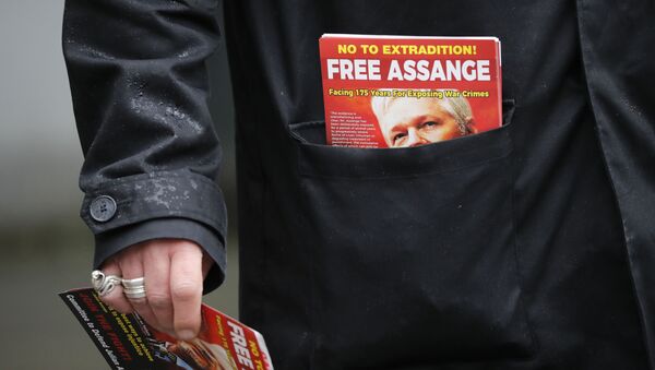 A protester carries leaflets in support of WikiLeaks founder Julian Assange outside Westminster Magistrates Court in London on February 19, 2020, during Assange's remand hearing via video-link as he fights extradition to the United States. - Sputnik International