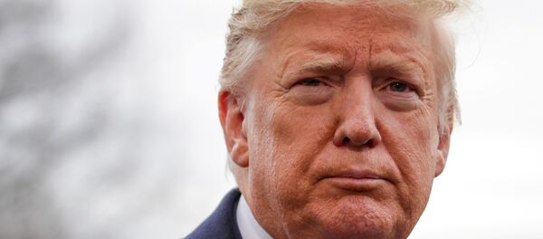 U.S. President Donald Trump speaks to reporters as he departs for travel to North Carolina from Washington U.S. President Donald Trump speaks to reporters as he departs for travel to North Carolina from Washington - Sputnik International