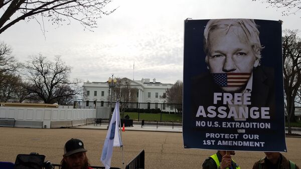 WikiLeaks Editor-in-Chief Hrafnsson Briefly Banned From Assange Hearings With No Explanation - Sputnik International