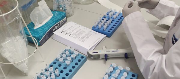 A scientist works in a bio-safety laboratory  - Sputnik International