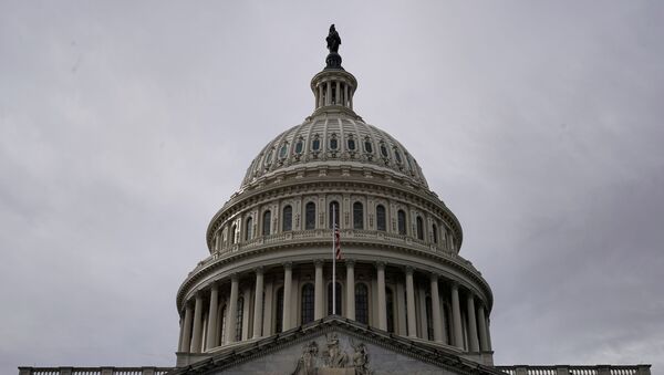 The U.S. Capitol Building is seen on Capitol Hill in Washington, U.S., February 4, 2020 - Sputnik International