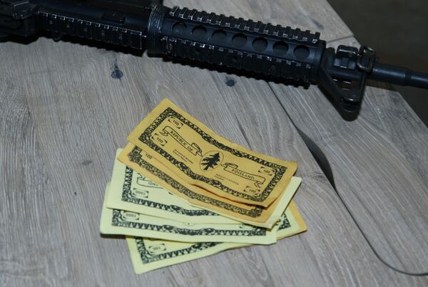 US Army Plans ‘Guerrilla Freedom Fighters’ Exercise in Rural North Carolina Towns US Army Plans ‘Guerrilla Freedom Fighters’ Exercise in Rural North Carolina Towns - Sputnik International