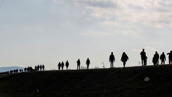 Migrants walk along a road, parallel to the border line, to reach Greece as they are pictured near Karpuzlu village of the Turkish border city of Edirne, Turkey, March 1, 2020. - Sputnik International