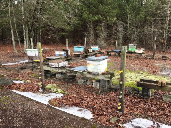 Poisoned With Fear: How 'Forever Chemicals' Change Lives in US State of North Carolina - Sputnik International