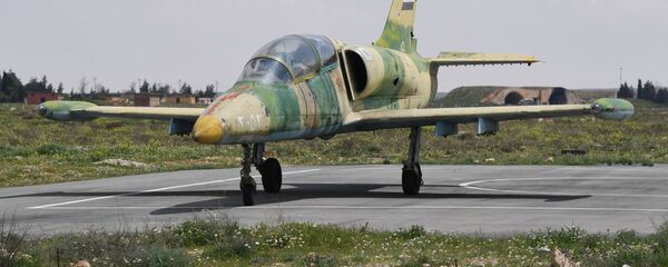 Syrian Air Forces L-39 - Sputnik International