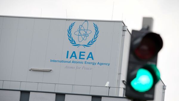  Logo of the International Atomic Energy Agency (IAEA) on the building of the IAEA laboratories in Seibersdorf, near Vienna - Sputnik International