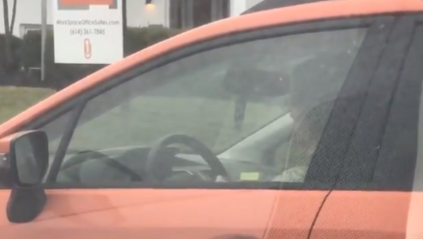 Needle and Red Light: Woman Caught Knitting While Driving - Sputnik International