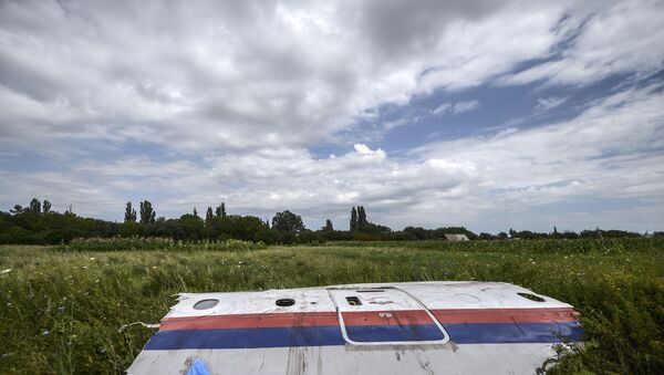 In this file photo taken on 20 July 2014 a piece of the wreckage of the Malaysia Airlines flight MH17 is pictured in a field near the village of Grabove, in the region of Donetsk. - Sputnik International