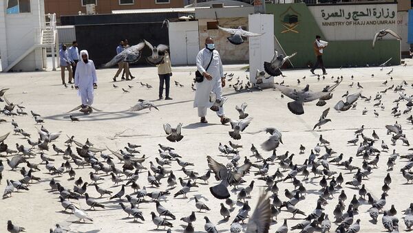 A Muslim worshipper walks past pigeons after the noon prayers outside the Grand Mosque, in the Muslim holy city of Mecca, Saudi Arabia, Saturday, March 7, 2020. Saudi Arabia announced there would be no spectators for sports competitions and games starting Saturday in order to combat the spread of the virus. The kingdom has taken unprecedented measures against the virus' spread, including halting all pilgrimage in Mecca, Islam's holiest site. - Sputnik International