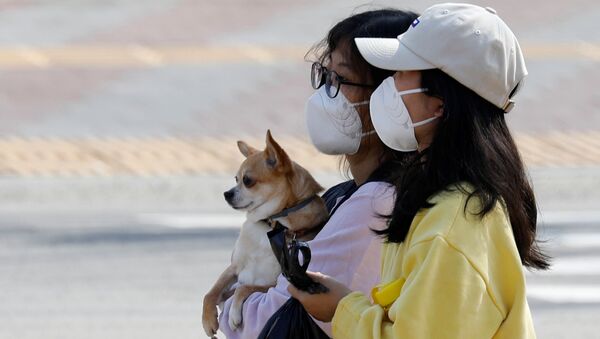 A woman wearing a mask carries a dog as she makes her way on a street amid the rise in confirmed cases of coronavirus disease (COVID-19) in Daegu, South Korea March 8, 2020 - Sputnik International