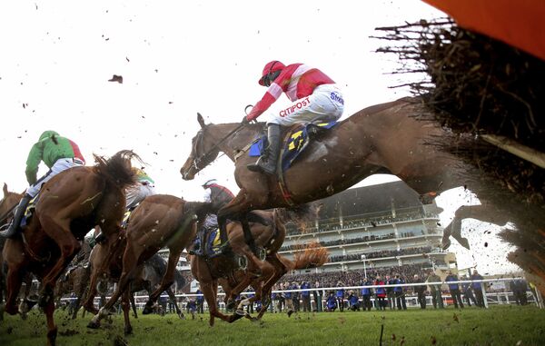 The Sputnik Intelligent Punter’s Guide to the 2020 Cheltenham Festival The Sputnik Intelligent Punter’s Guide to the 2020 Cheltenham Festival - Sputnik International